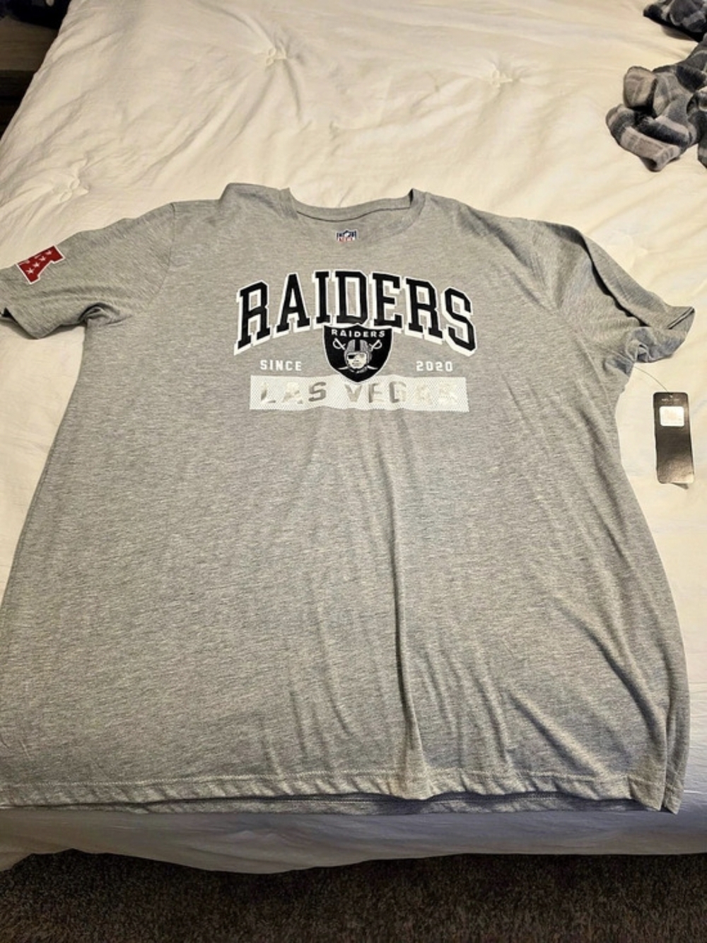 NFL Raiders Las Vegas Embroidered Graphic Tee NWT